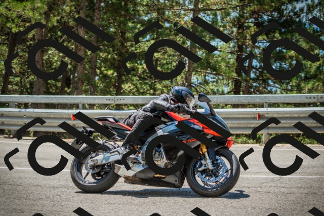 202508091226-DSC04652_c1_