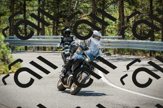 202508091226-DSC04655_c1_