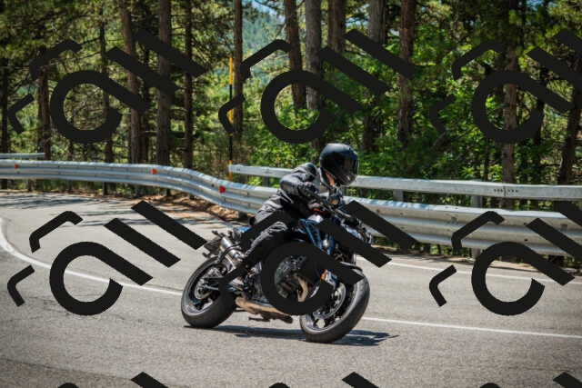 202508091226-DSC04657_c1_