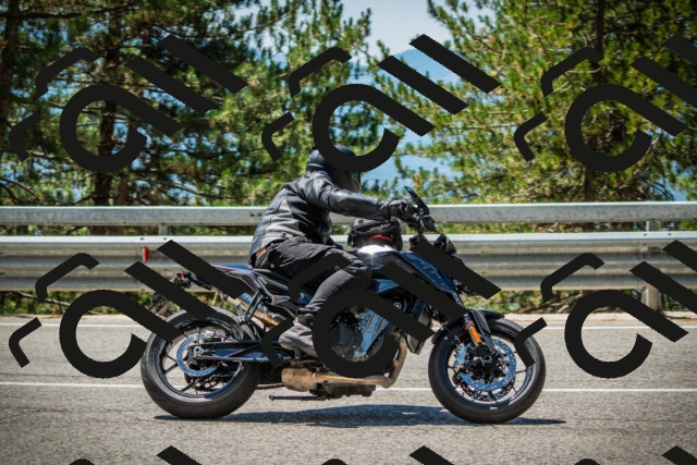 202508091226-DSC04658_c1_