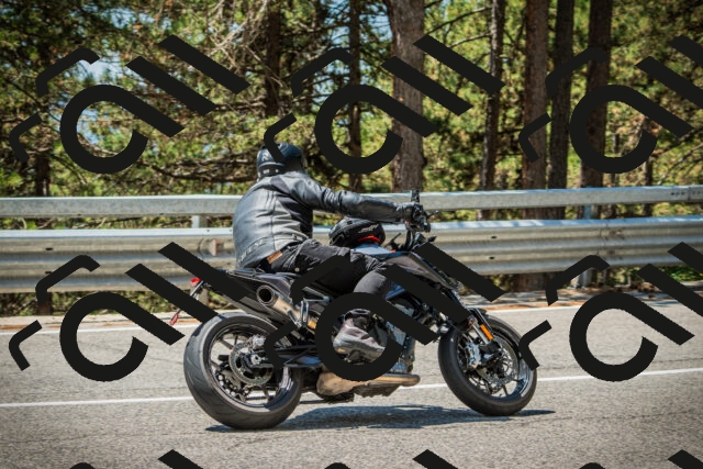 202508091226-DSC04659_c1_