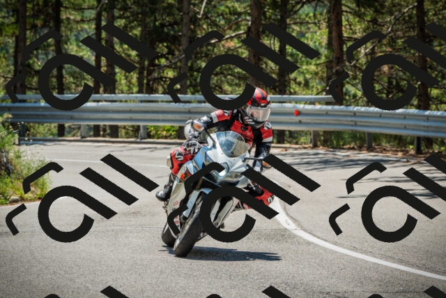 202508091226-DSC04662_c1_