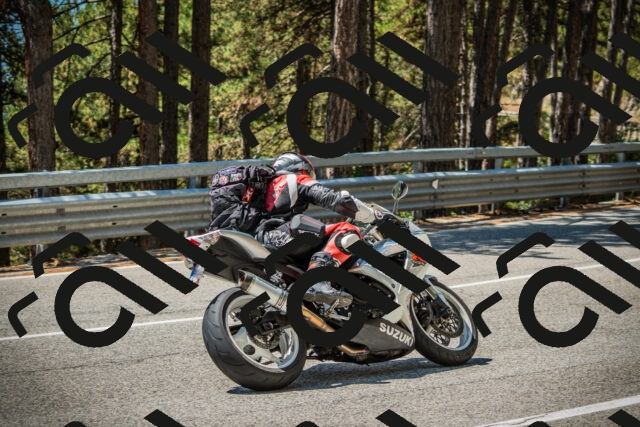 202508091226-DSC04665_c1_