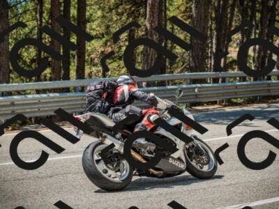 202508091226-DSC04665_c1_