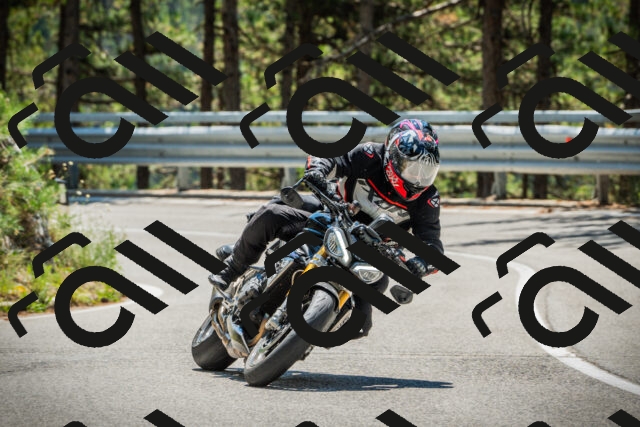 202508091226-DSC04667_c1_