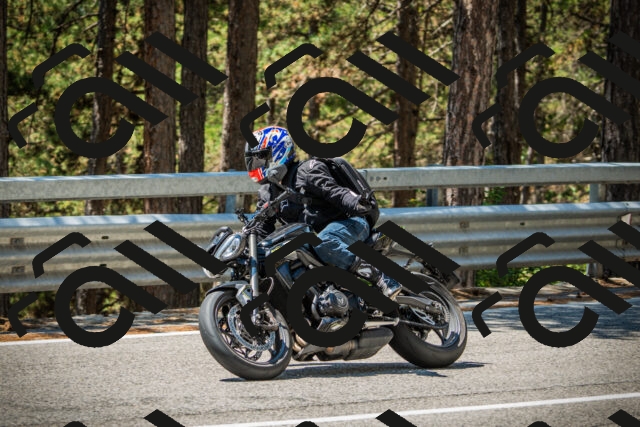 202508091227-DSC04679_c1_