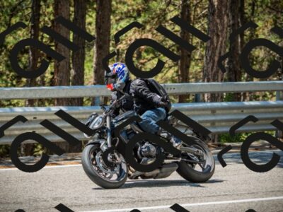 202508091227-DSC04679_c1_