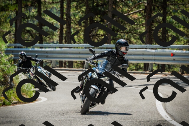 202508091227-DSC04684_c1_