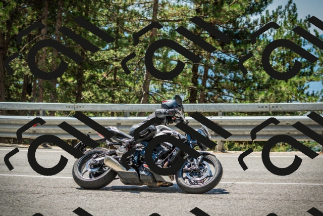 202508091227-DSC04686_c1_