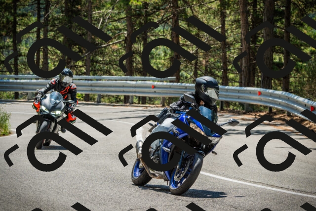 202508091227-DSC04691_c1_