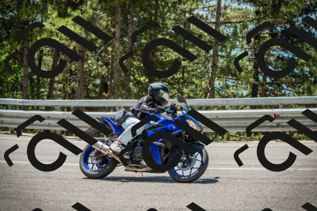 202508091227-DSC04692_c1_