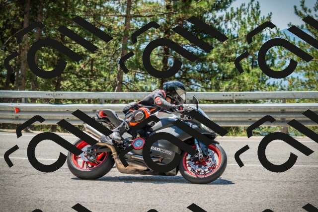 202508091227-DSC04693_c1_