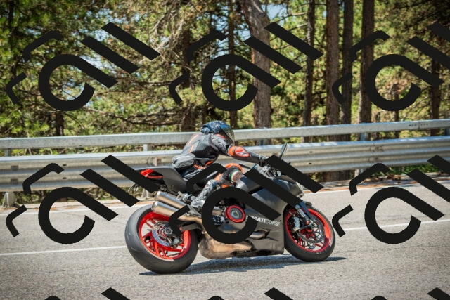 202508091227-DSC04694_c1_