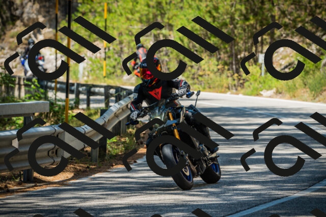 202508091227-DSC04695_c1_