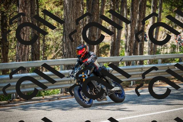 202508091227-DSC04696_c1_