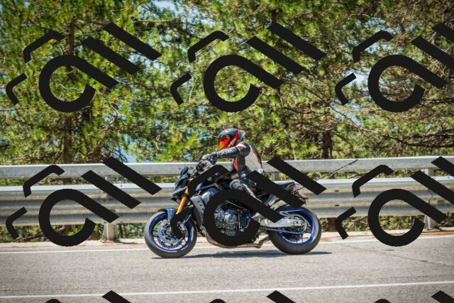 202508091227-DSC04697_c1_