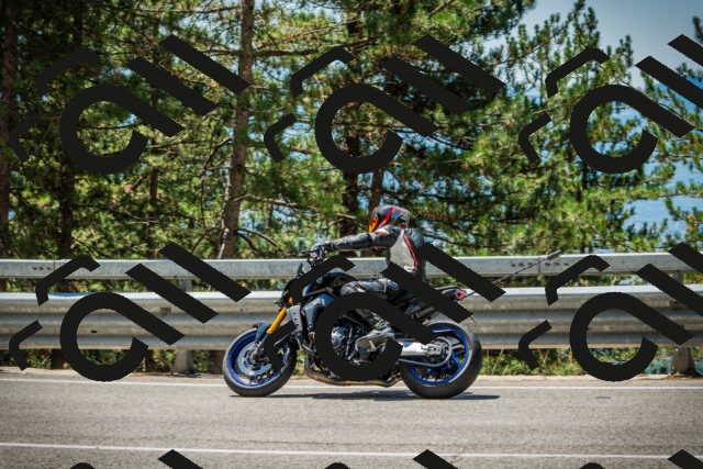 202508091227-DSC04698_c1_