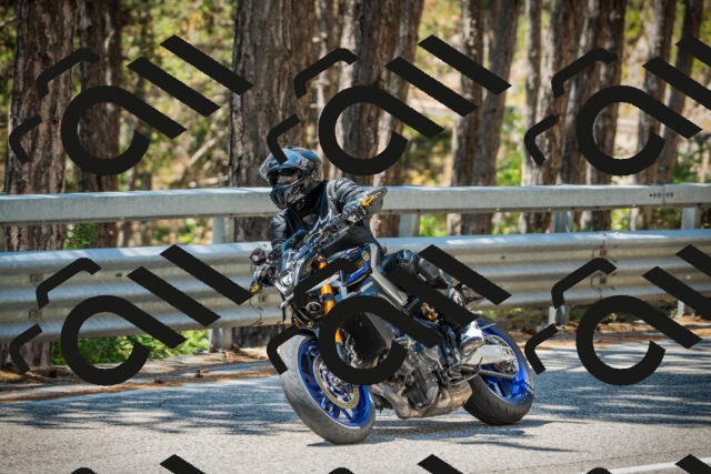 202508091228-DSC04699_c1_