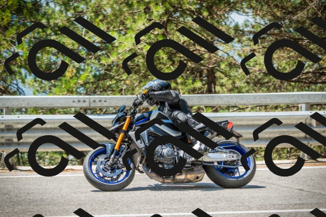 202508091228-DSC04700_c1_