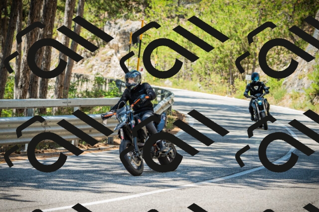 202508091228-DSC04705_c1_