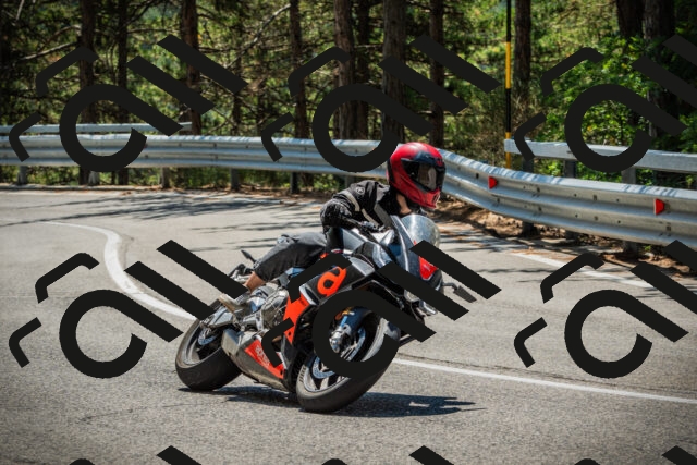 202508091229-DSC04714_c1_