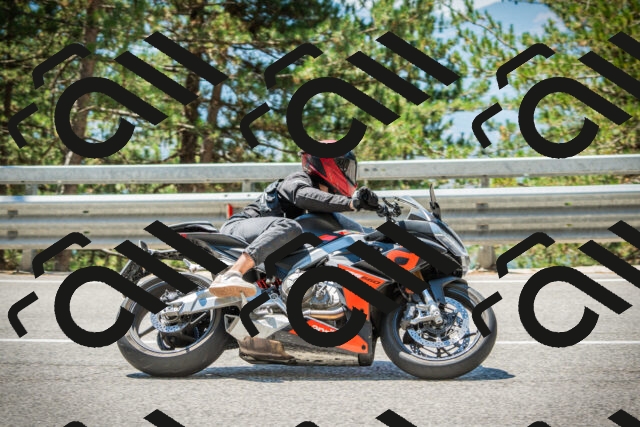 202508091229-DSC04715_c1_