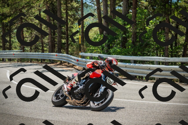 202508091229-DSC04716_c1_