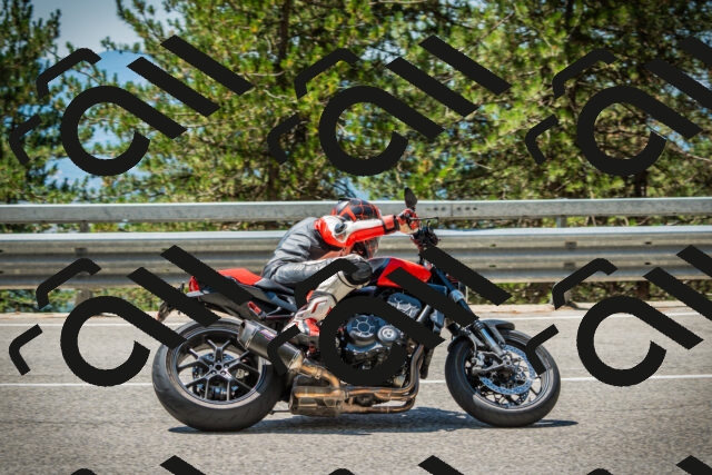 202508091229-DSC04717_c1_