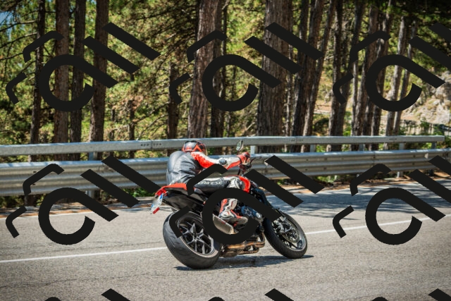 202508091229-DSC04718_c1_