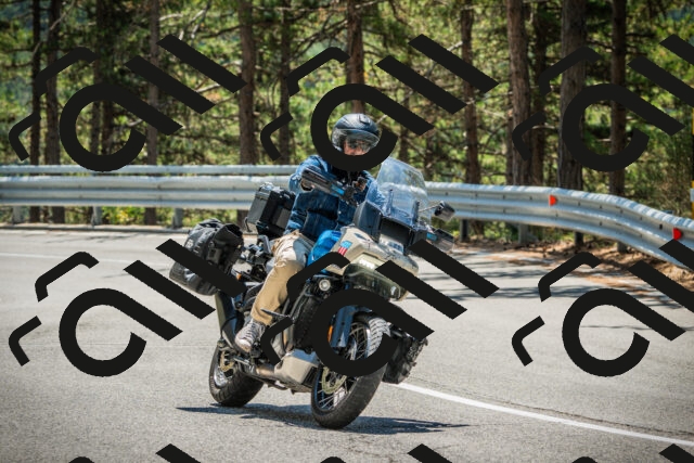 202508091231-DSC04721_c1_