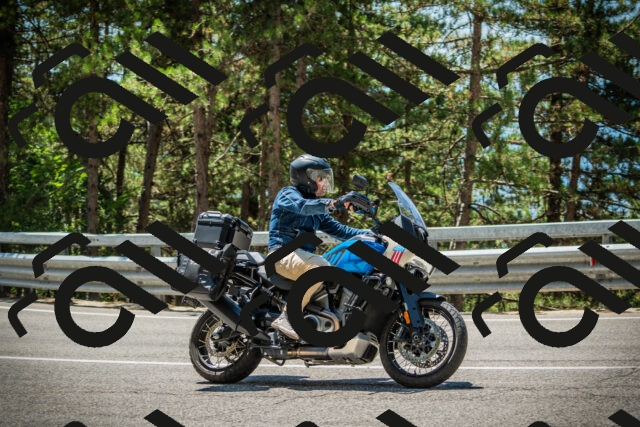 202508091231-DSC04722_c1_