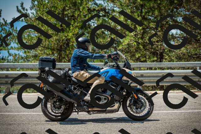 202508091231-DSC04723_c1_