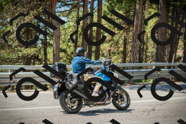 202508091231-DSC04724_c1_