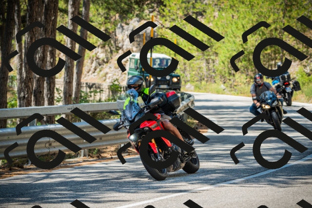 202508091231-DSC04726_c1_