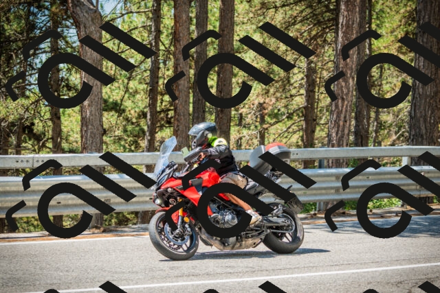 202508091231-DSC04727_c1_