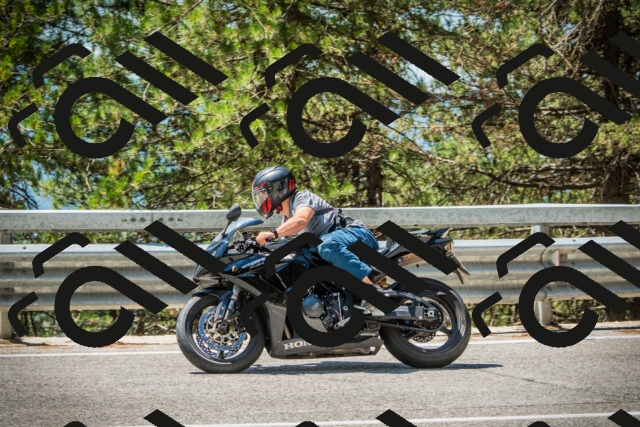 202508091231-DSC04729_c1_