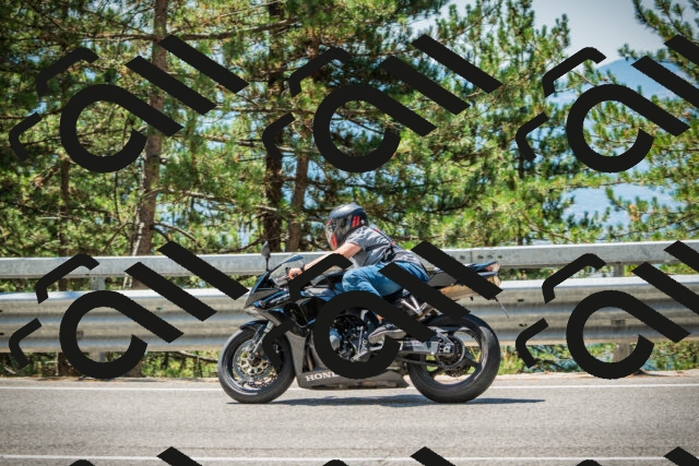 202508091231-DSC04730_c1_