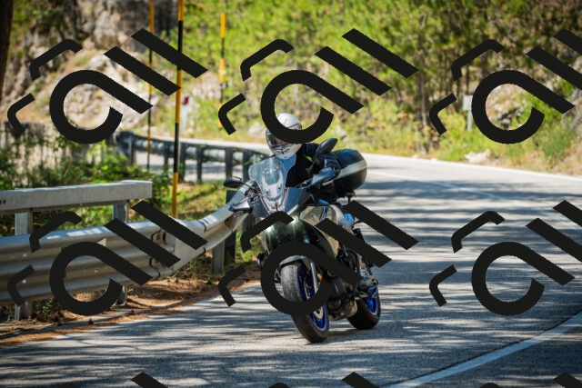 202508091232-DSC04732_c1_