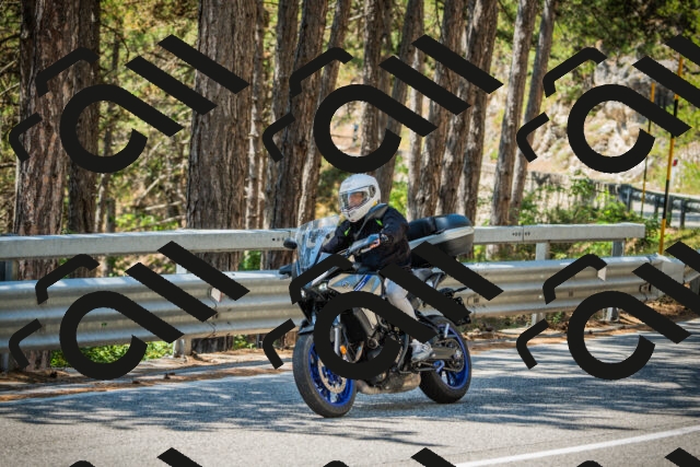 202508091232-DSC04733_c1_