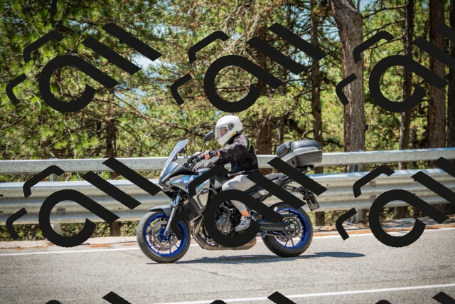 202508091232-DSC04734_c1_