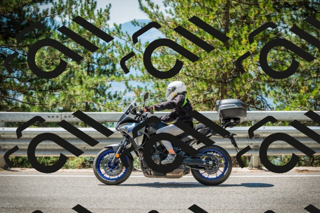 202508091232-DSC04735_c1_