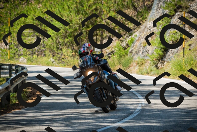 202508091233-DSC04737_c1_