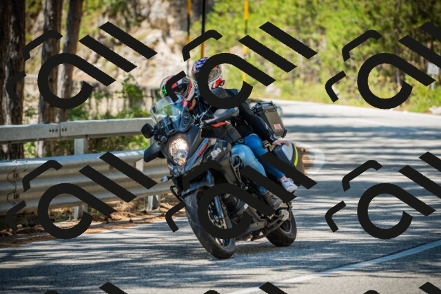 202508091233-DSC04738_c1_