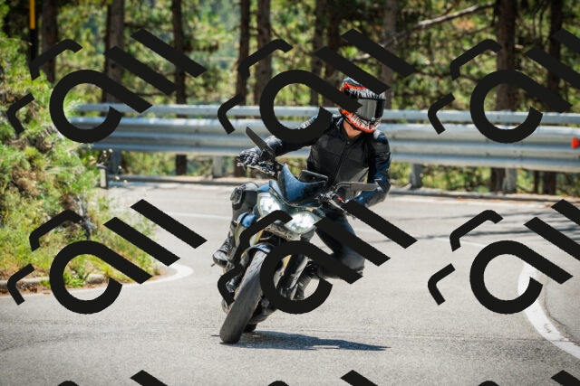 202508091234-DSC04745_c1_