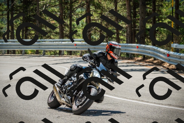 202508091234-DSC04746_c1_