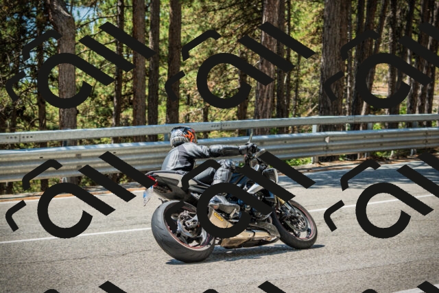 202508091234-DSC04748_c1_