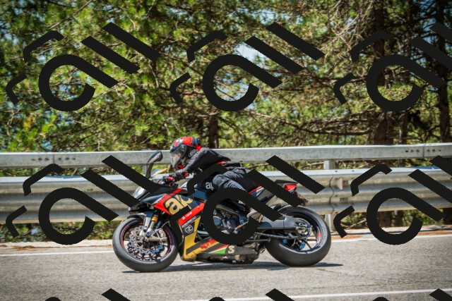 202508091234-DSC04754_c1_