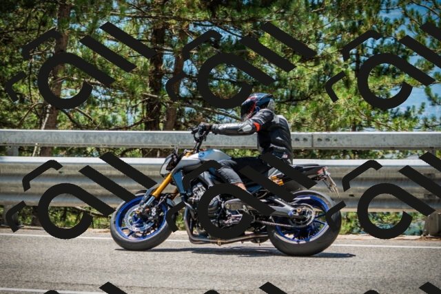 202508091234-DSC04755_c1_