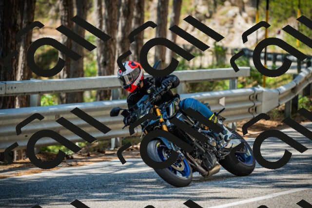 202508091234-DSC04759_c1_