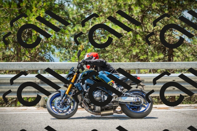 202508091234-DSC04760_c1_